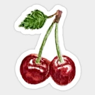 Cherries Sticker